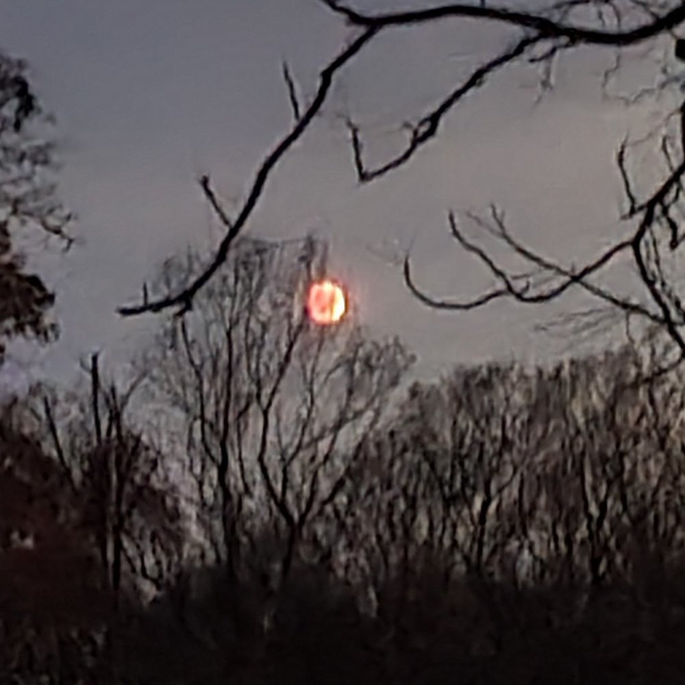 Meet your Posher, Chelsea